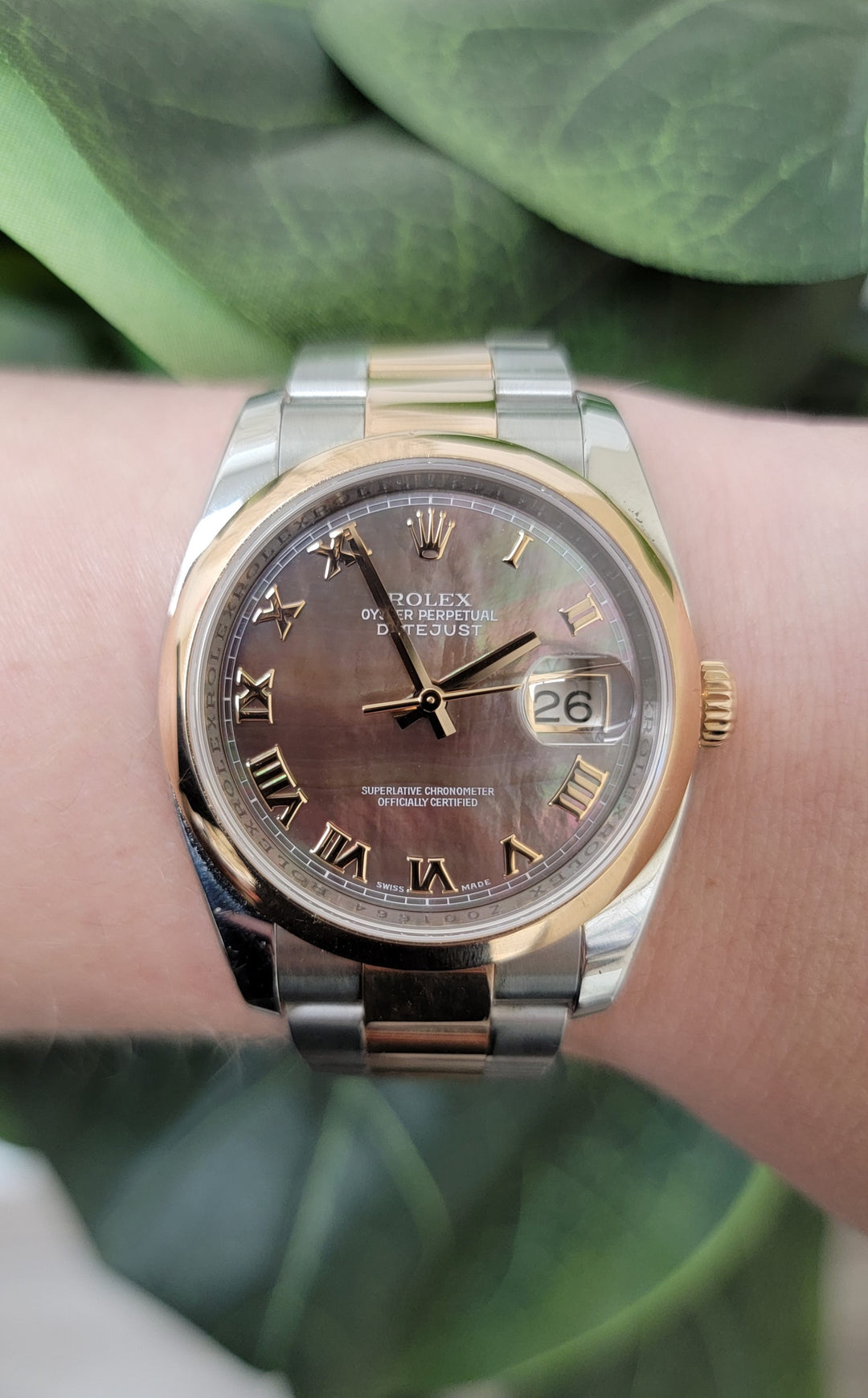 Rolex Datejust 36mm Tahitian MOP Dial in Two-tone Everose & Stainless Steel Watch