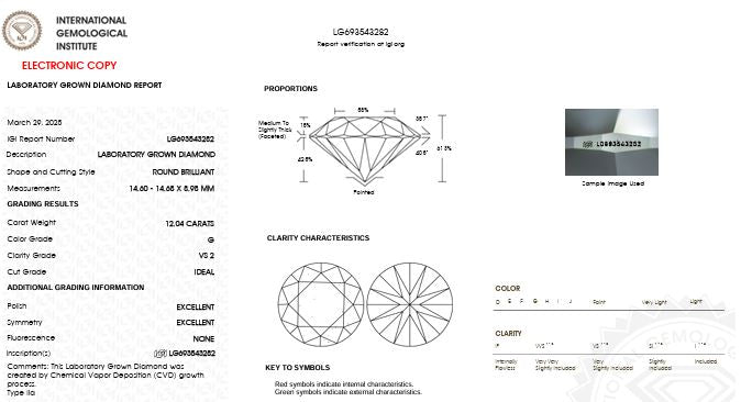 IGI Graded 12.04ct Round Brilliant Center with Hidden Halo Lab-Grown Diamond Engagement Ring in 14k Gold