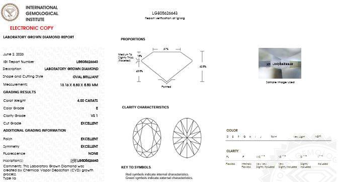 IGI Graded 4.00ct Oval with Round Brilliant Lab-Grown Diamonds Hidden Halo Engagement Ring in 14k White Gold