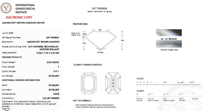 IGI Graded 3.02ct Radiant Cut with Round Brilliant Hidden Halo Lab-Grown Diamond Engagement Ring in 14k Yellow Gold