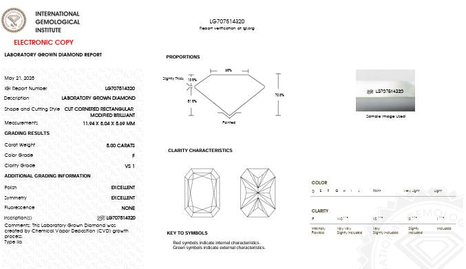 IGI Graded 5ct Radiant Cut with Round Brilliant Hidden Halo Lab-Grown Diamond Engagement Ring in 14k White Gold