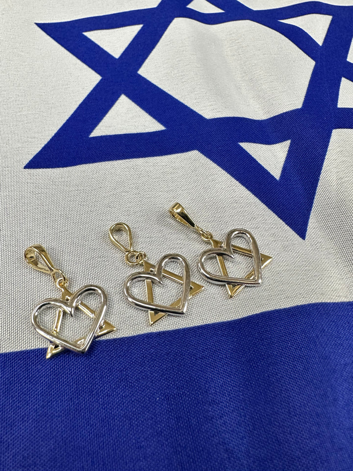 14k 2 Tone Yellow and White Gold Heart Star of David