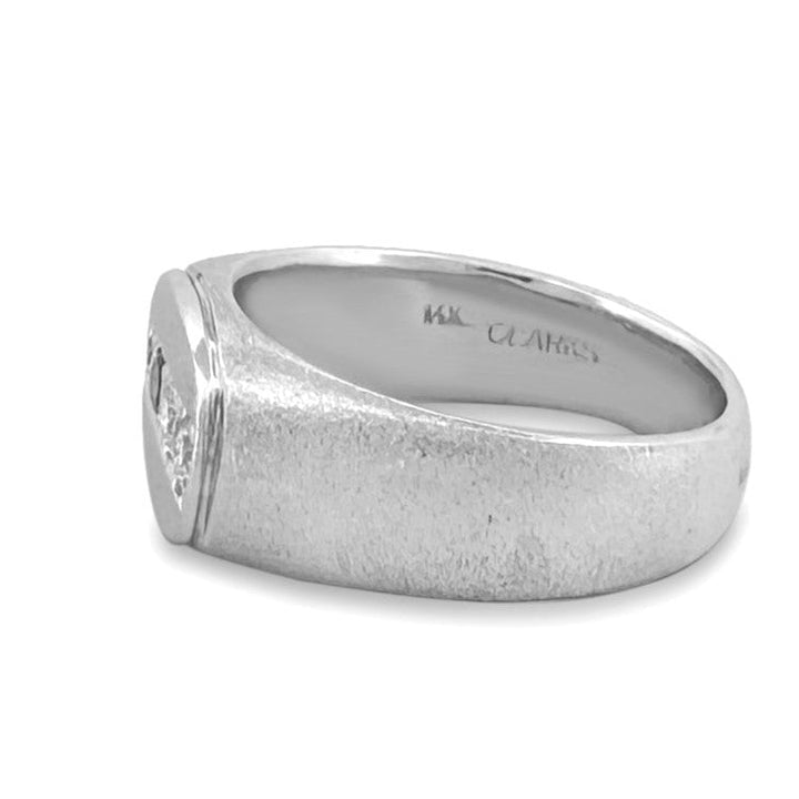 Natural Diamond & Sapphire Men's Ring in 14k White Gold