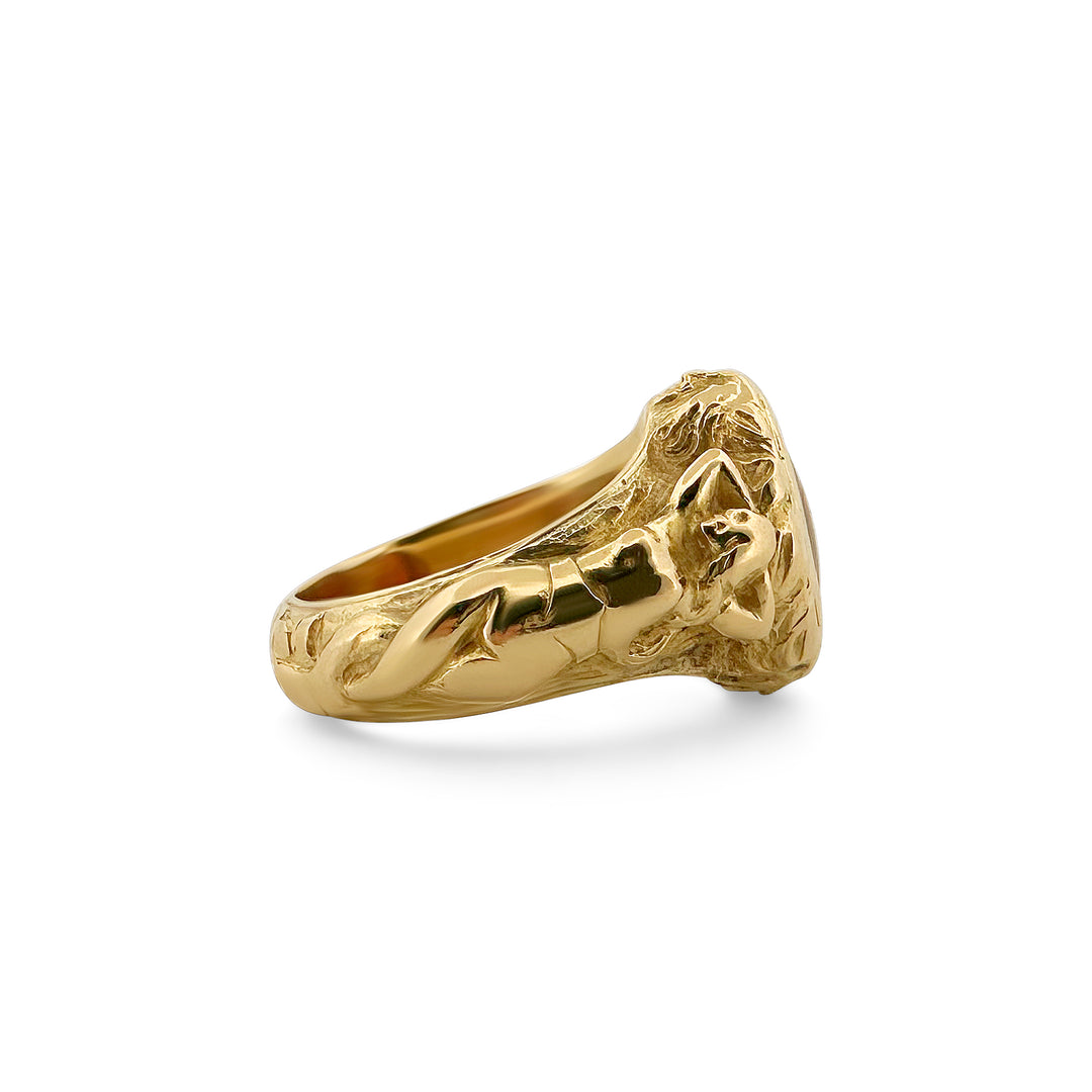 Carnelian Erotica Man's Ring in 14k Yellow Gold