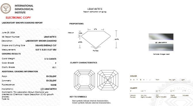 IGI lab report
