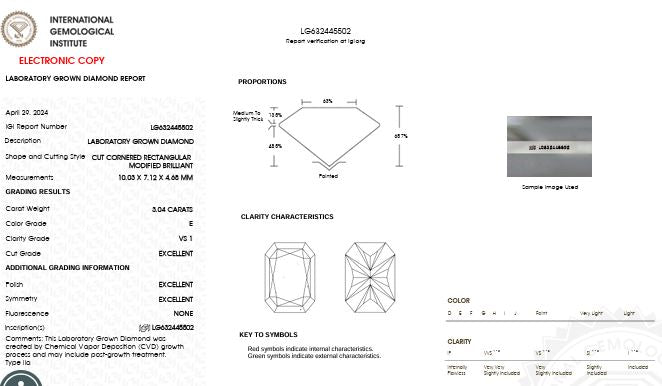 IGI Graded 6.79ctw Radiant & Round Brilliant Cut Lab-Grown Diamond Hidden Halo Eternity Engagement Ring in 14k White Gold