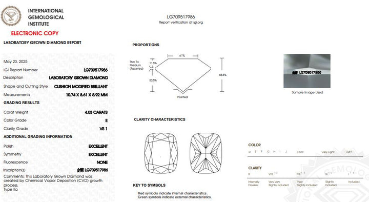 IGI Graded 4.03ct Cushion Cut with Hidden Halo Lab-Grown Diamond Engagement Ring in 14k White Gold