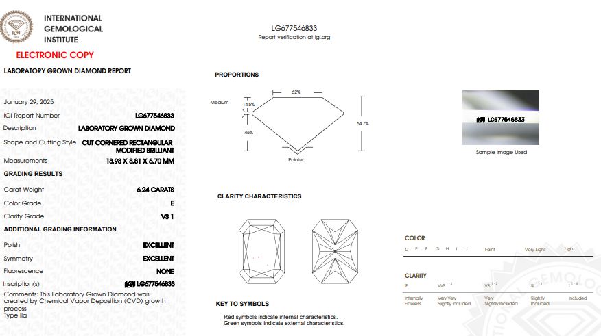 IGI Graded 6.24ct Radiant Cut with Trilliants & Hidden Halos Lab-Grown Diamond Engagement Ring in 14k White Gold