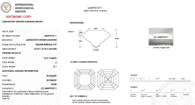 IGI Graded 12.01ct Asscher Cut & Round Brilliant Cut Lab-Grown Diamond Hidden Halo Wedding Set in 14k White Gold