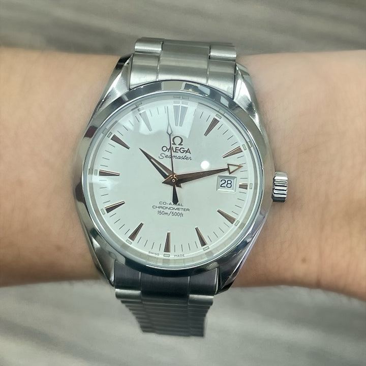 Omega Seamaster Aqua Terra Watch