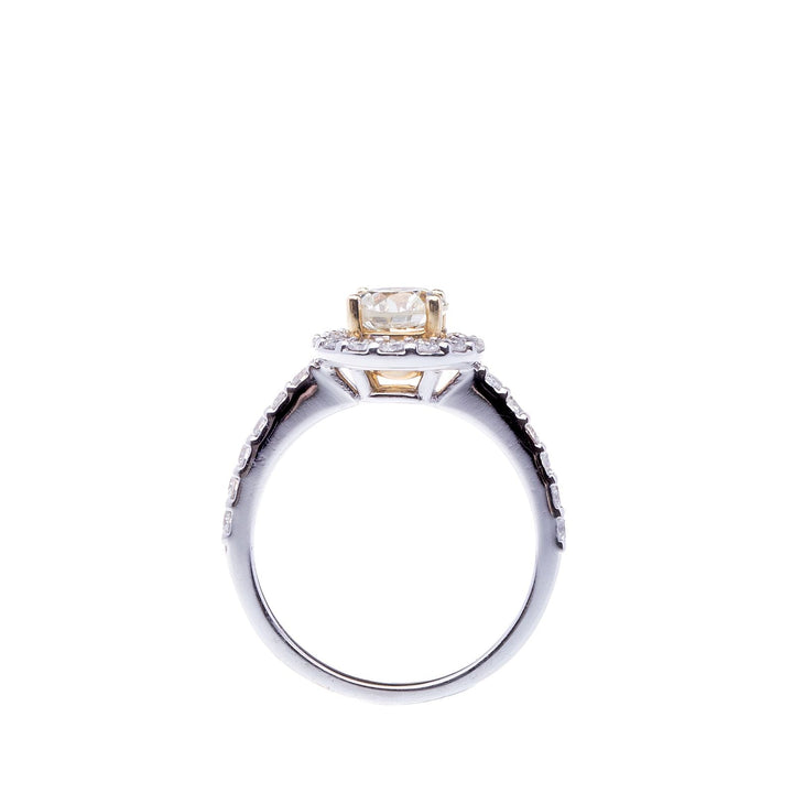 Round Brilliant Diamond Halo Engagement Ring Proposal